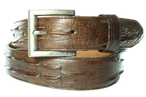 Sendra riem chihuahua Bruin