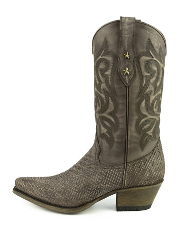 Mayura Boots Alabama 2524 Bruin Lavado/ Dames Westernlaars Pythonprint Spitse Neus 5 cm Hak Hoge Schacht Echt Leer