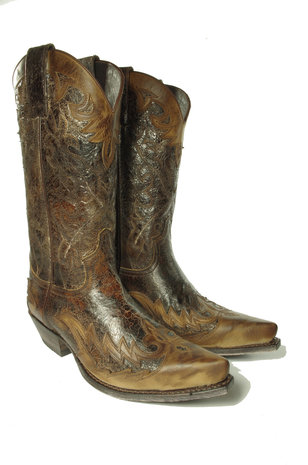 sendra 9669 