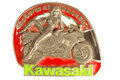 buckle kawasaki